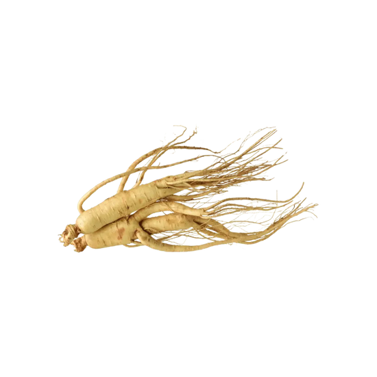 Red ginseng