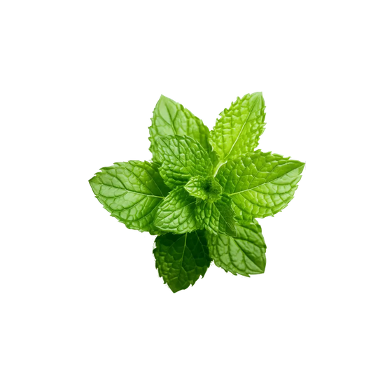 Peppermint