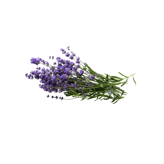 Lavender hydrosol