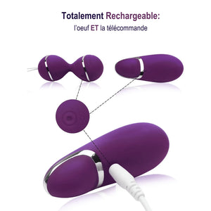 Boule degeisha télécommandé goliate x mon amour discret