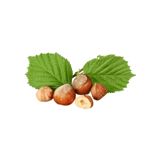 Hazelnut oil