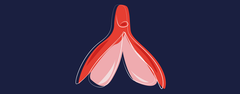 Les secrets pour stimuler parfaitement son clitoris GOLIATE