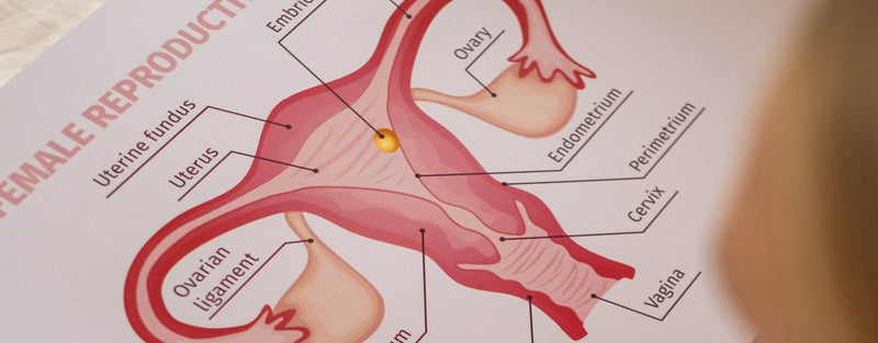 LE GUIDE COMPLET DU DEEP SPOT GOLIATE