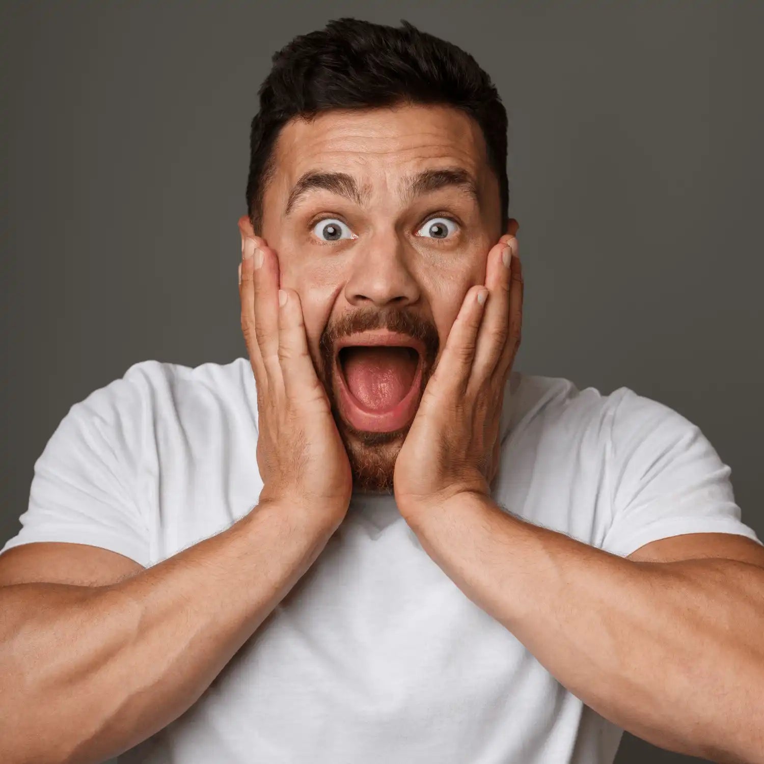 Les pénis de sang n'auront plus de secrets pour vous