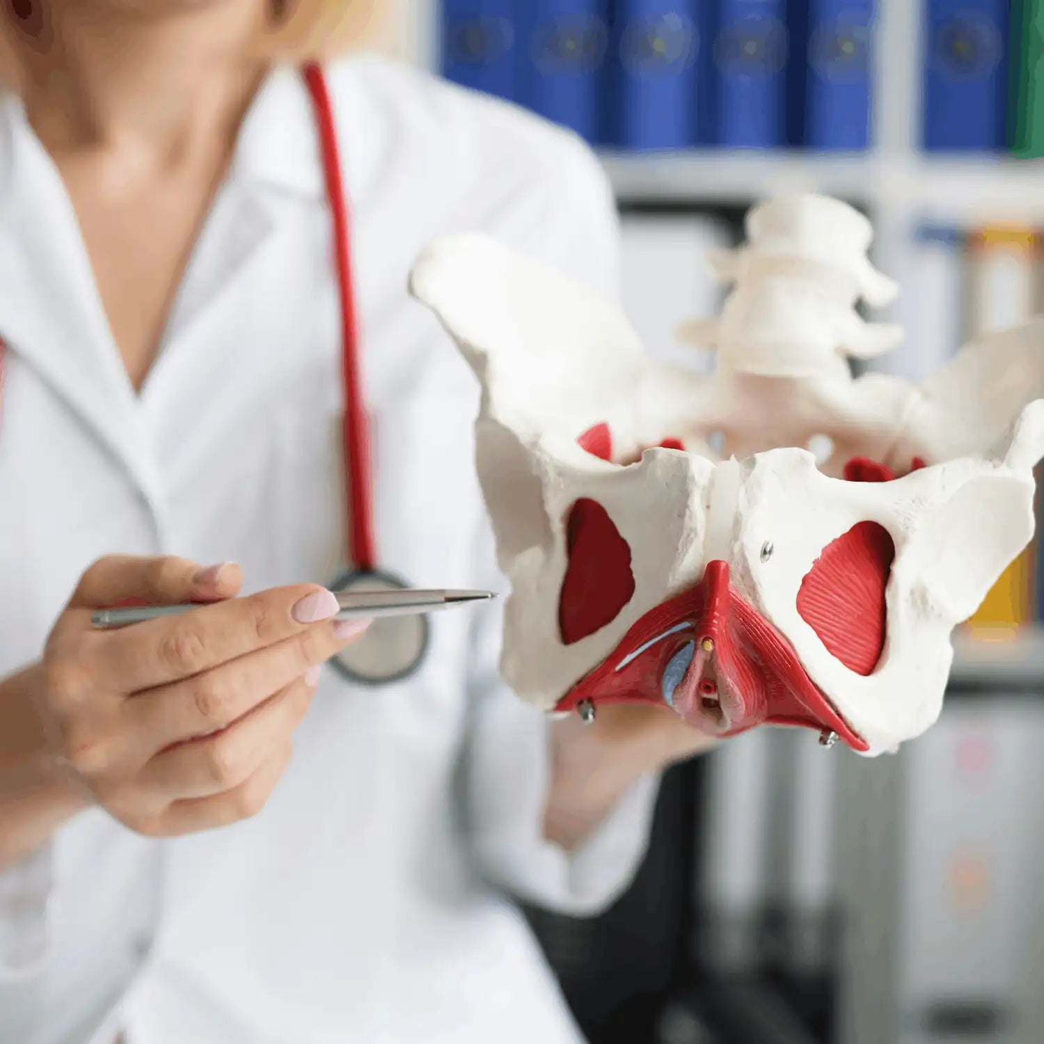 Le périnée, ou comment intensifier ses orgasmes. Simple et efficace !