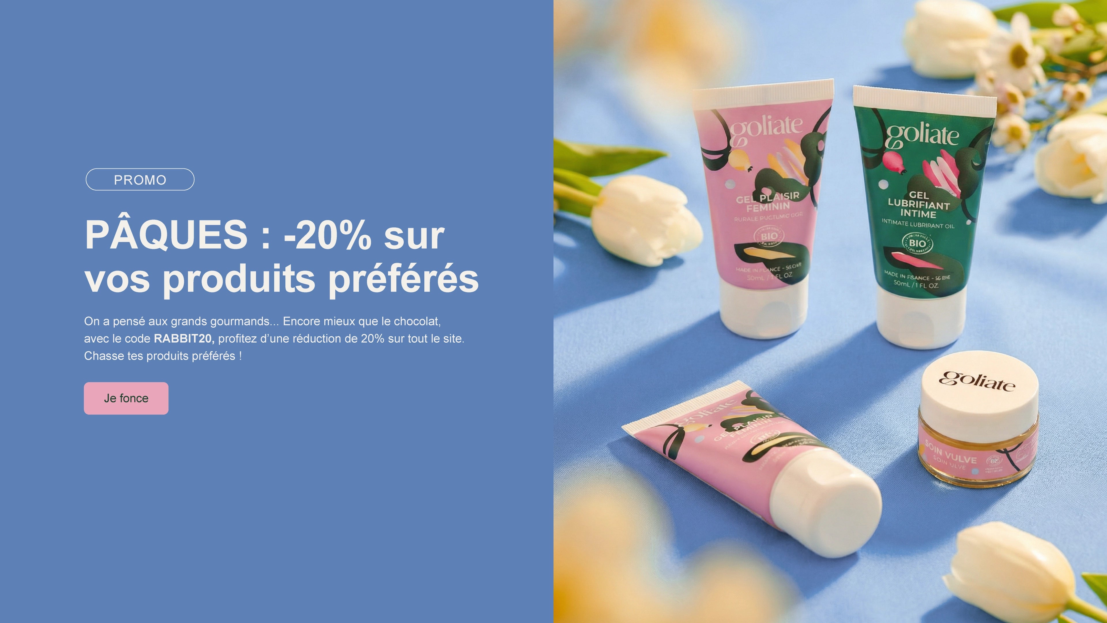 Banner Image Desktop (Français)