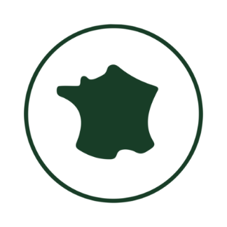 Icon 3